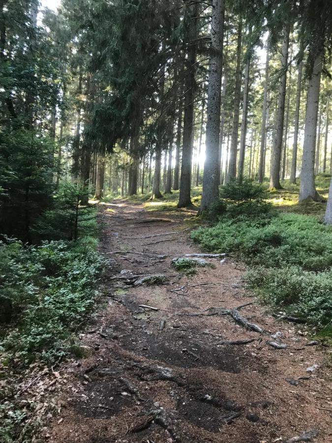 Alfie'S Home Malmedy Bagian luar foto