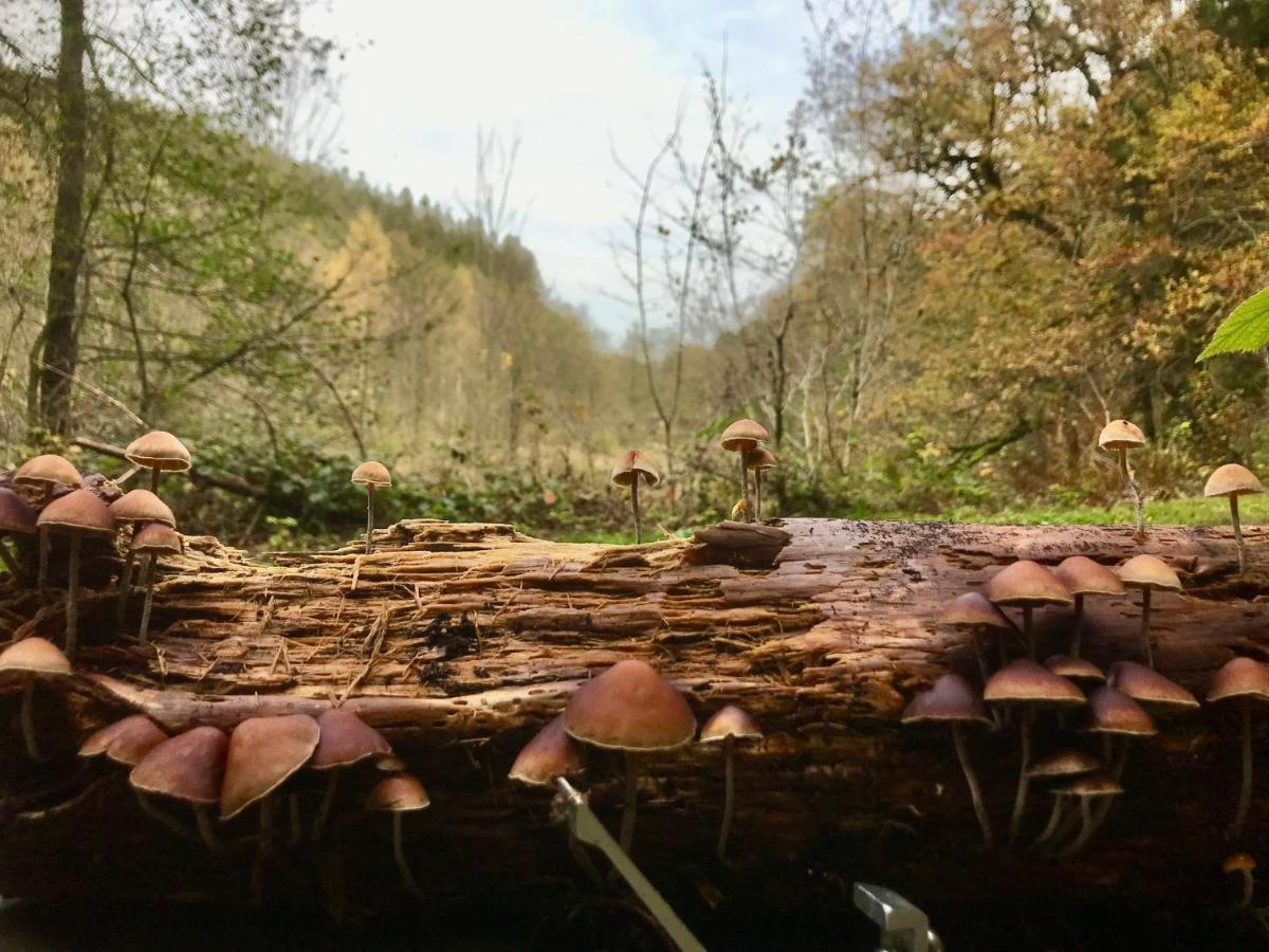 Alfie'S Home Malmedy Bagian luar foto