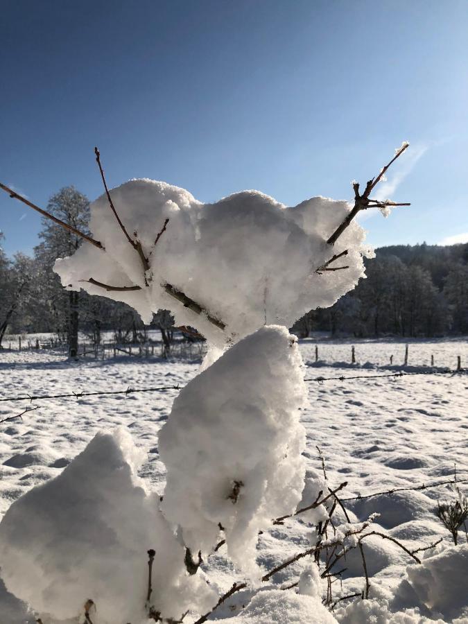 Alfie'S Home Malmedy Bagian luar foto