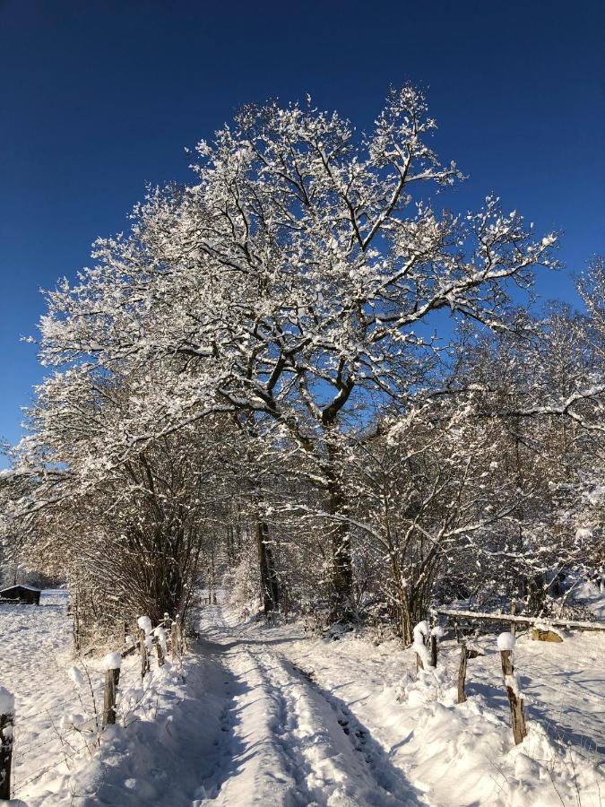 Alfie'S Home Malmedy Bagian luar foto