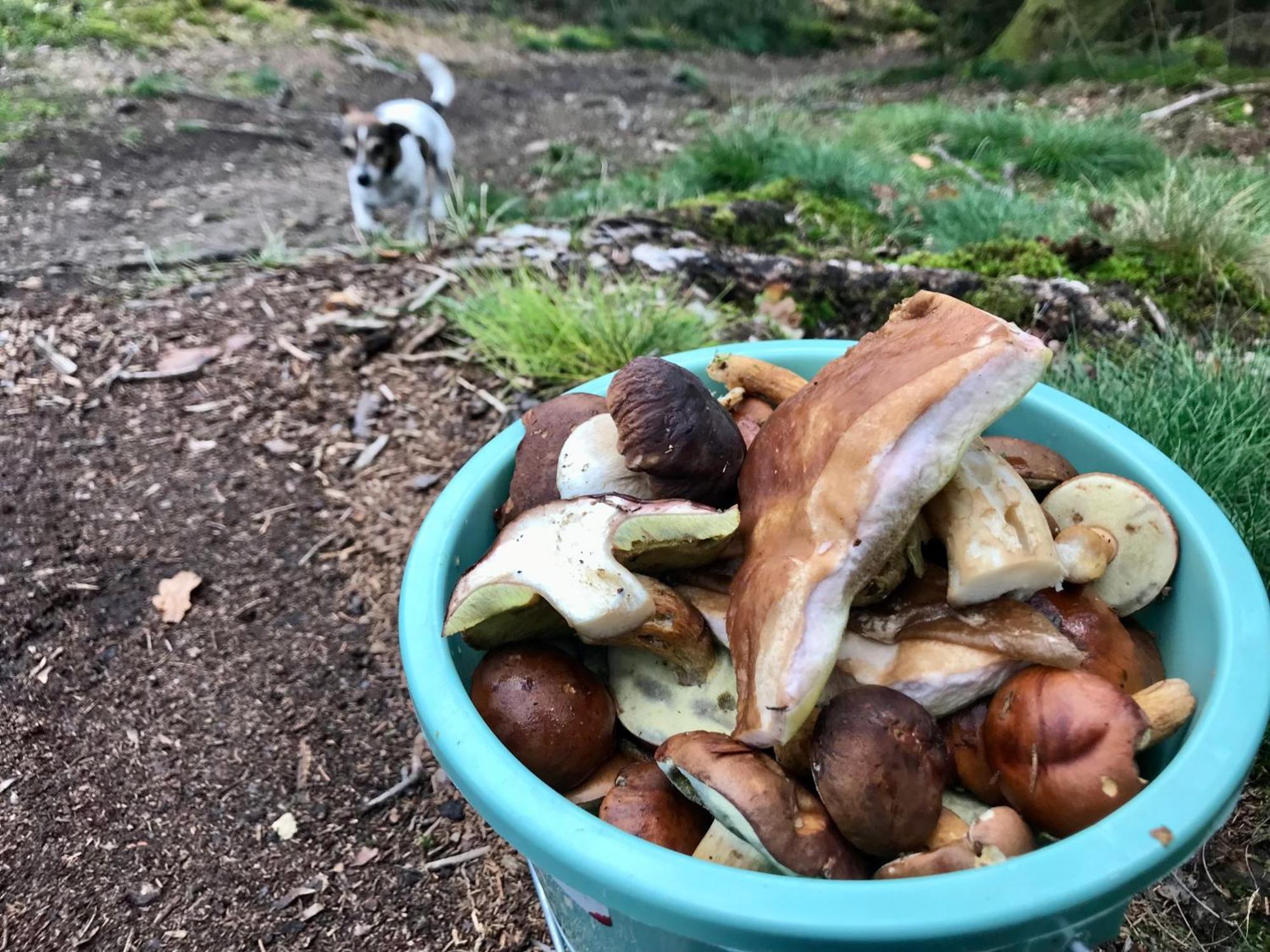 Alfie'S Home Malmedy Bagian luar foto