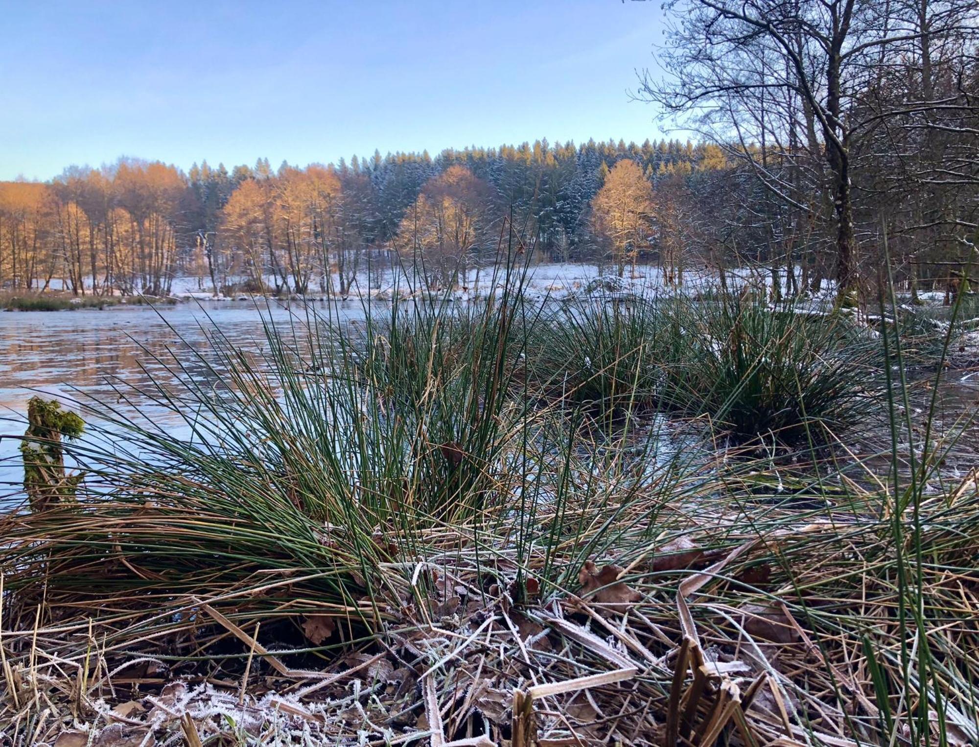 Alfie'S Home Malmedy Bagian luar foto